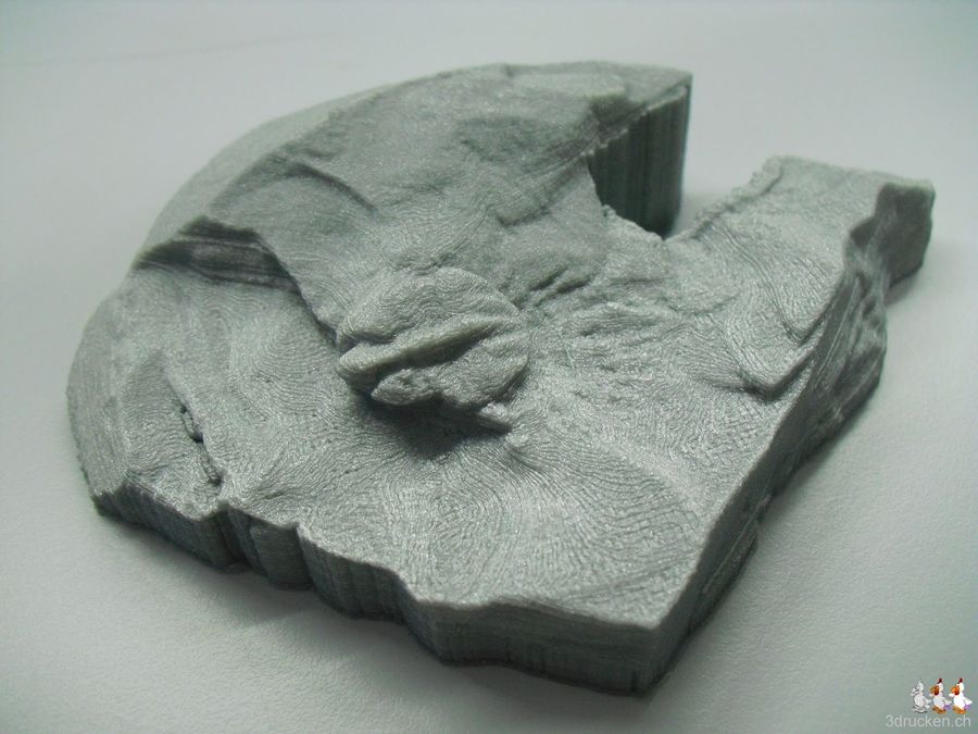 3D Scans von Fossilien des British Geological Survey