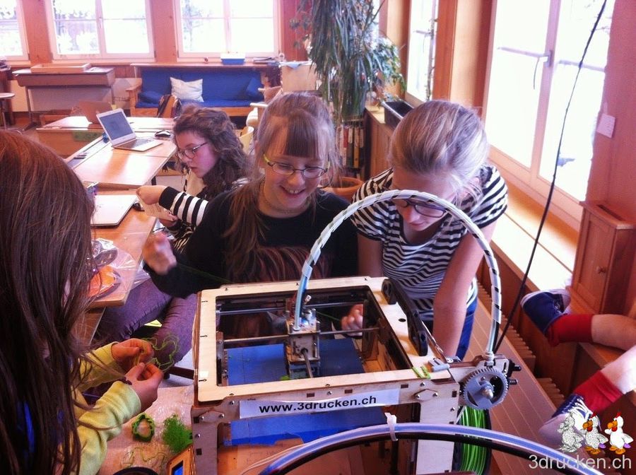 Erfahrungsbericht 3D-Drucken in der Primarschule